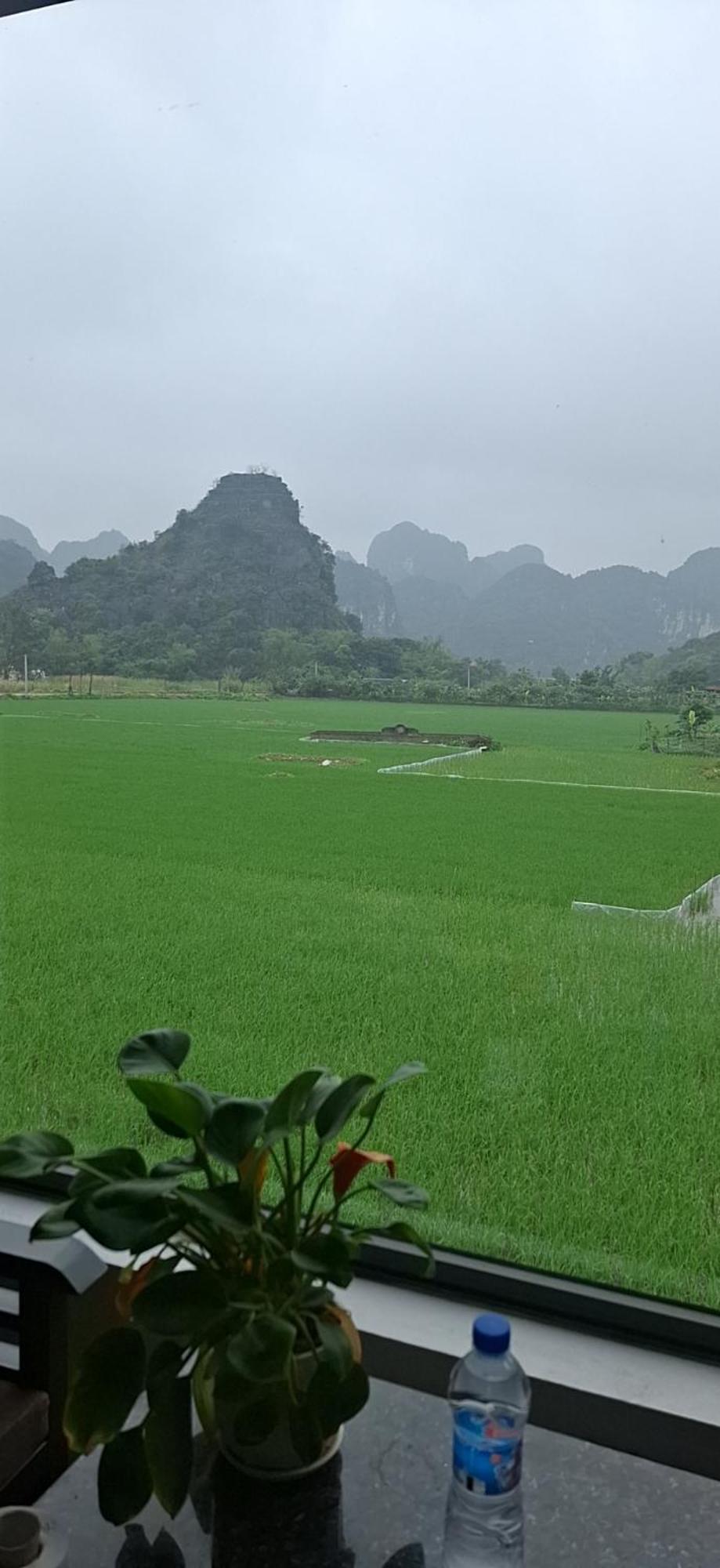 Trang An Rice Field Homestay Ninh Bình Extérieur photo